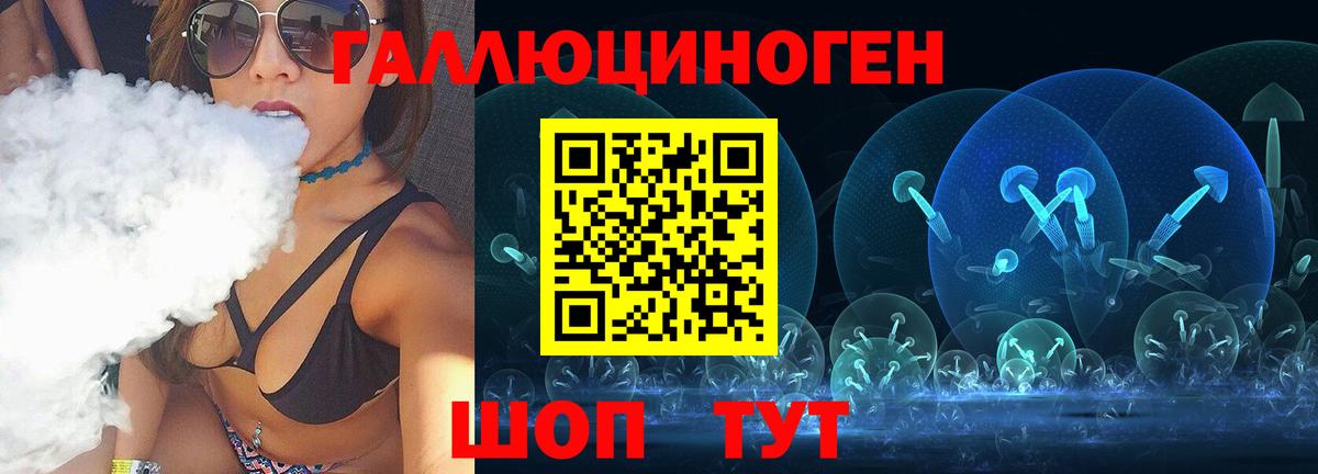 Псилоцибиновые грибы Psilocybine cubensis Абинск
